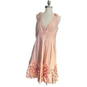 Ryu: Pink Dress - Size Large